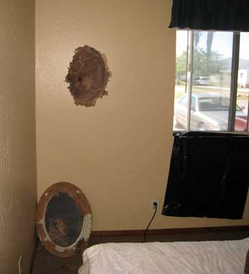 Termite Damage Mitigation